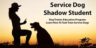 Service Dog Shadow Student